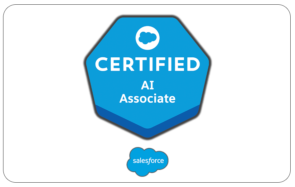 Badge 6